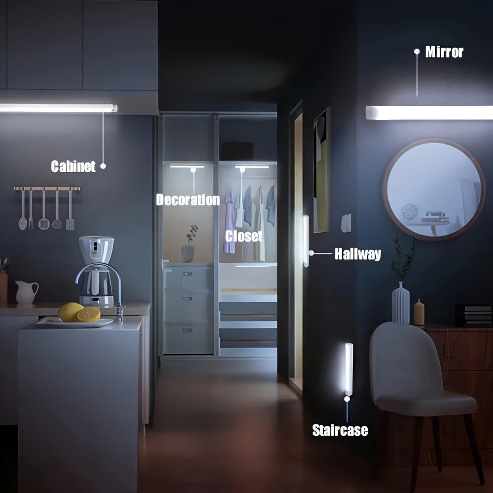 AxiwoIntl 12 LED Motion Sensor Cabinet Light USB Rechargeable